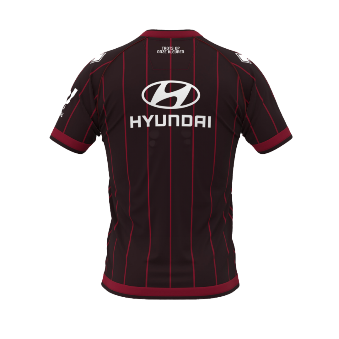 Uitshirt Bruin 25/26 Volw