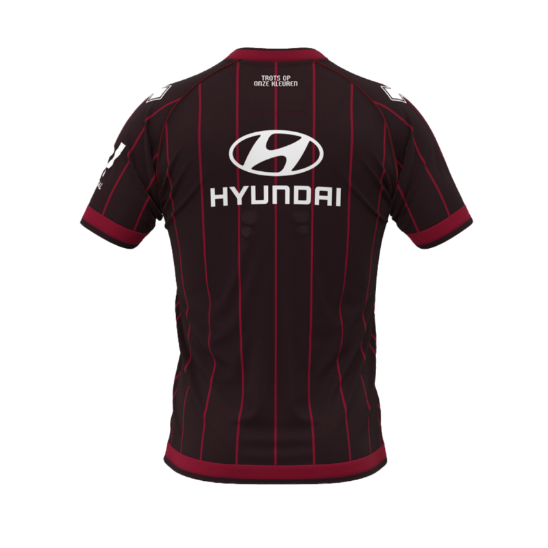 Uitshirt Bruin 25/26 Volw