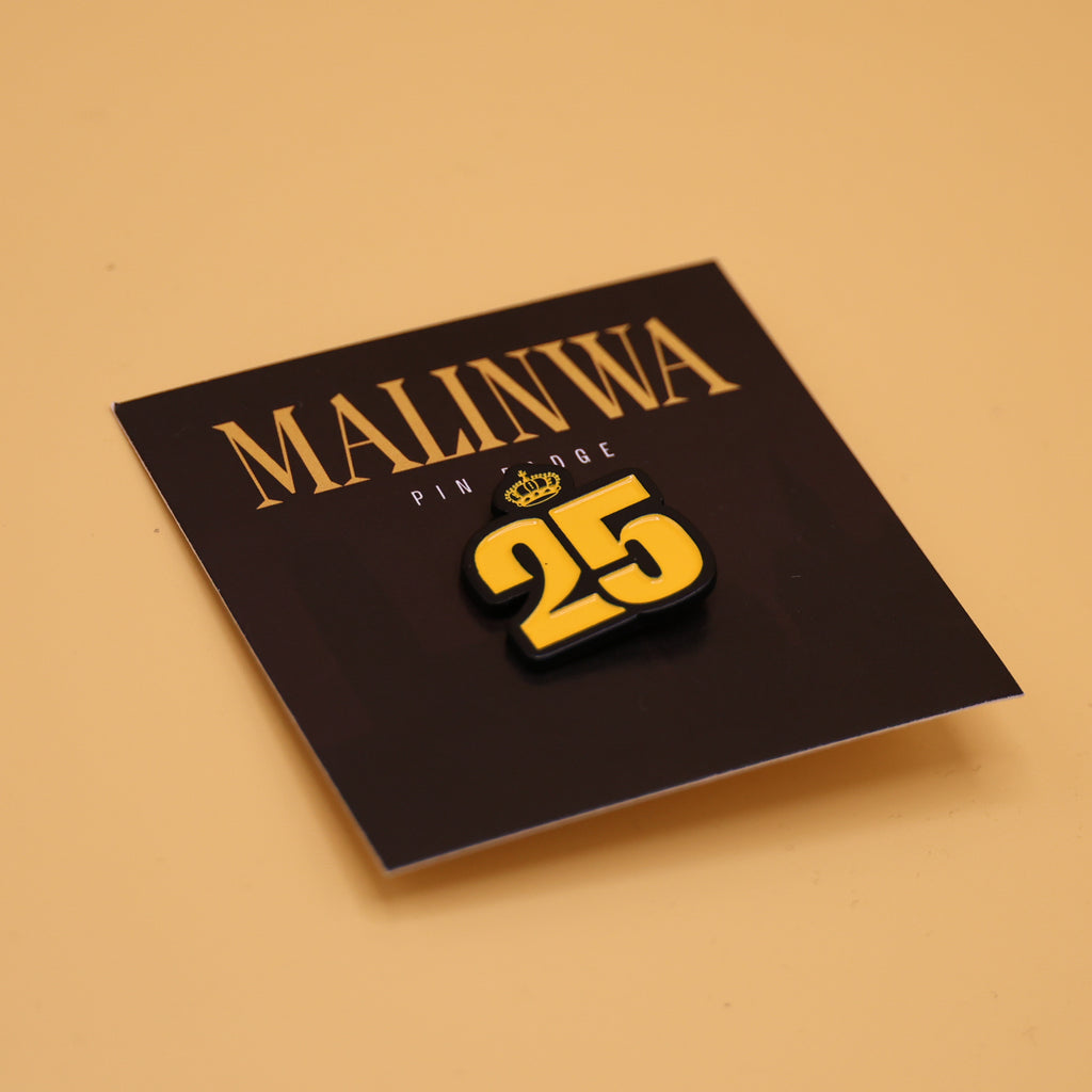 Pin 25