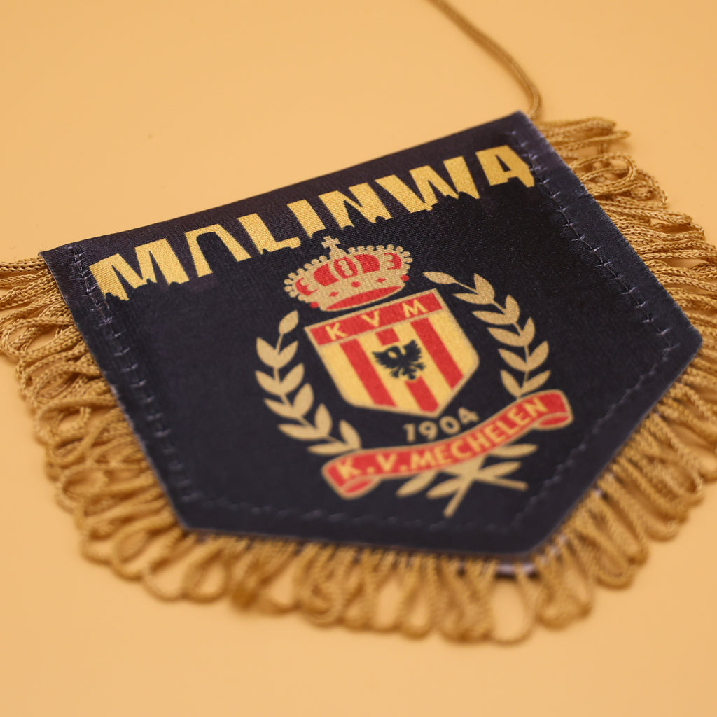 Mini Vaandel Skyline